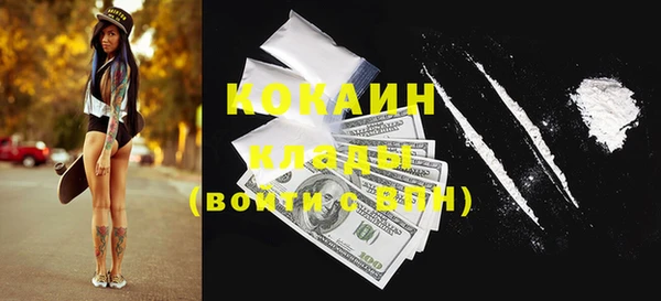 сатива Бородино
