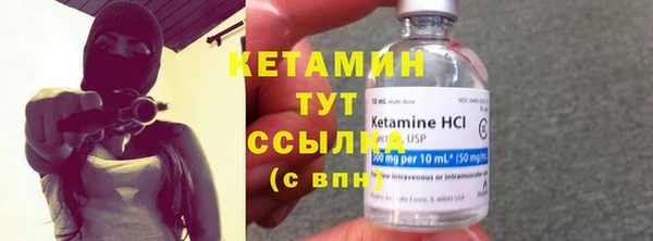 сатива Бородино