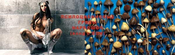 герыч Богданович