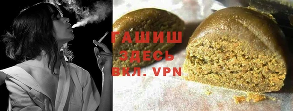 сатива Бородино