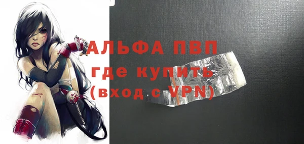 сатива Бородино