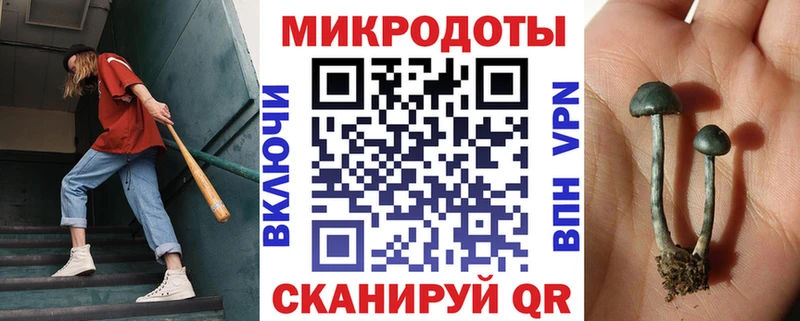 Псилоцибиновые грибы Magic Shrooms Вуктыл